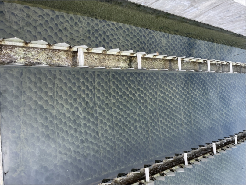 1701605447800772.png A1.png